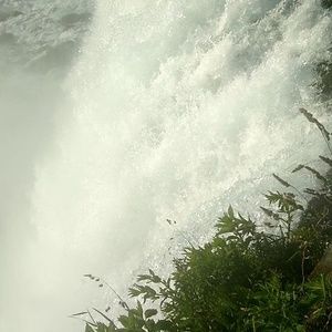 Meet your Posher, Piotr